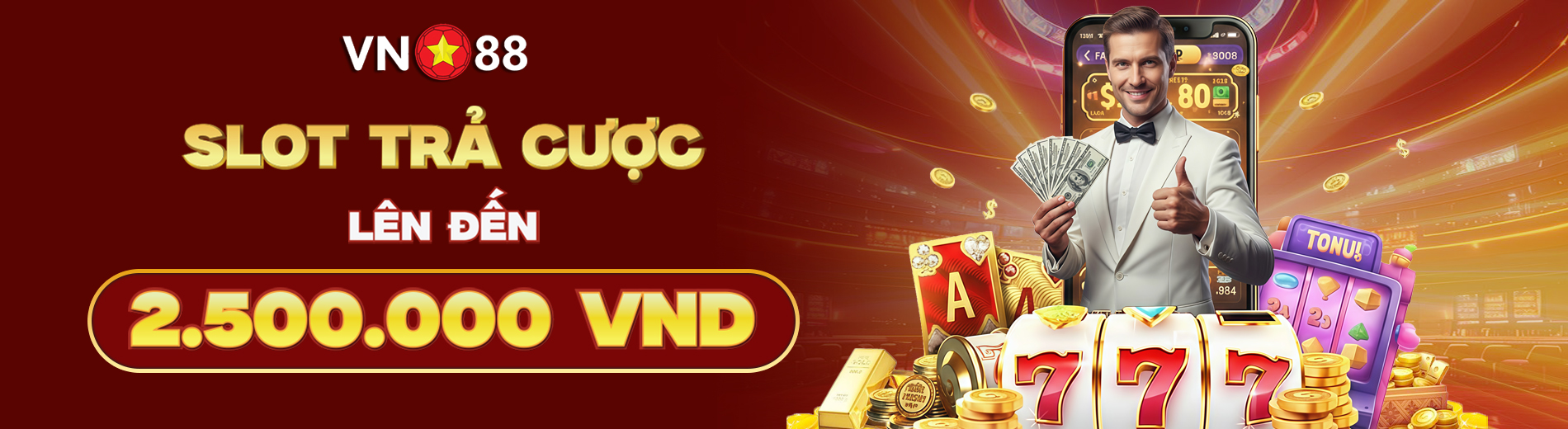 Banner Vn88