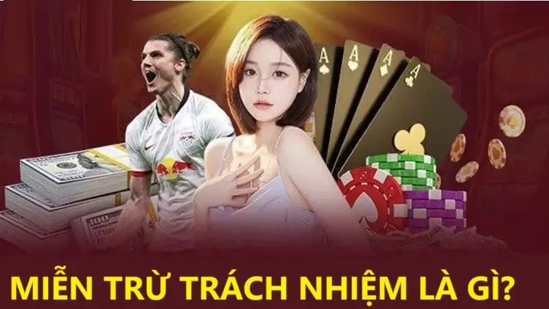 Miễn Trừ Trách Nhiệm Là Gì? Miễn trừ trách nhiệm